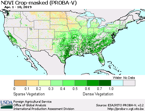 United States NDVI Crop-masked (PROBA-V) Thematic Map For 4/1/2019 - 4/10/2019