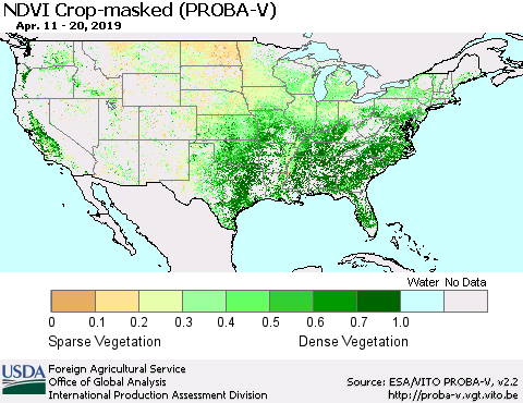United States NDVI Crop-masked (PROBA-V) Thematic Map For 4/11/2019 - 4/20/2019