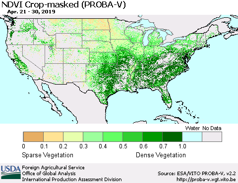 United States NDVI Crop-masked (PROBA-V) Thematic Map For 4/21/2019 - 4/30/2019