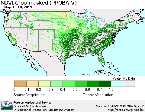 United States NDVI Crop-masked (PROBA-V) Thematic Map For 5/1/2019 - 5/10/2019