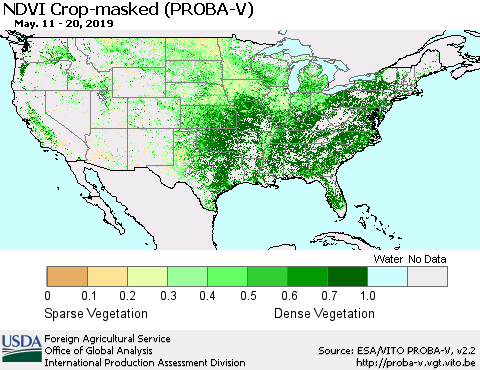 United States NDVI Crop-masked (PROBA-V) Thematic Map For 5/11/2019 - 5/20/2019
