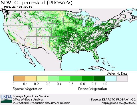 United States NDVI Crop-masked (PROBA-V) Thematic Map For 5/21/2019 - 5/31/2019