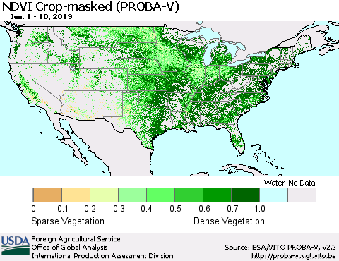 United States NDVI Crop-masked (PROBA-V) Thematic Map For 6/1/2019 - 6/10/2019