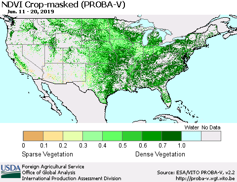 United States NDVI Crop-masked (PROBA-V) Thematic Map For 6/11/2019 - 6/20/2019