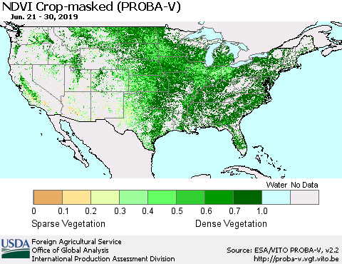 United States NDVI Crop-masked (PROBA-V) Thematic Map For 6/21/2019 - 6/30/2019