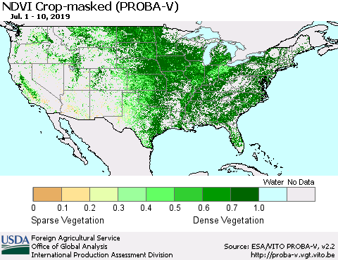 United States NDVI Crop-masked (PROBA-V) Thematic Map For 7/1/2019 - 7/10/2019