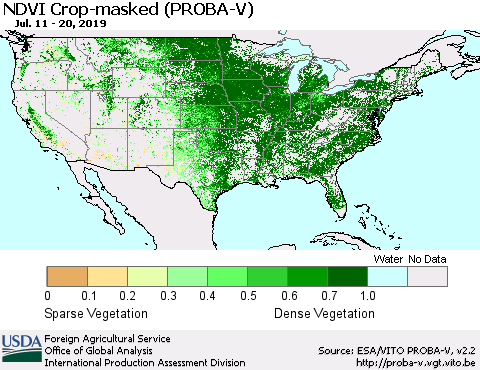 United States NDVI Crop-masked (PROBA-V) Thematic Map For 7/11/2019 - 7/20/2019