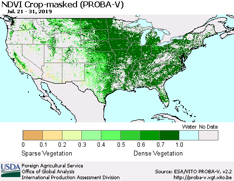 United States NDVI Crop-masked (PROBA-V) Thematic Map For 7/21/2019 - 7/31/2019