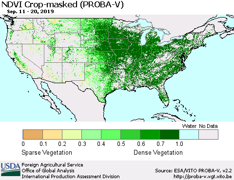 United States NDVI Crop-masked (PROBA-V) Thematic Map For 9/11/2019 - 9/20/2019