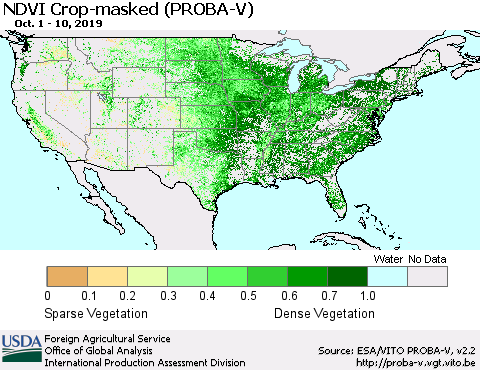 United States NDVI Crop-masked (PROBA-V) Thematic Map For 10/1/2019 - 10/10/2019