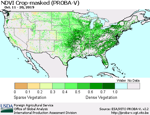 United States NDVI Crop-masked (PROBA-V) Thematic Map For 10/11/2019 - 10/20/2019