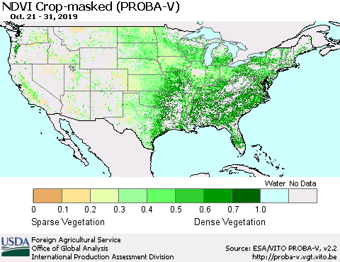 United States NDVI Crop-masked (PROBA-V) Thematic Map For 10/21/2019 - 10/31/2019