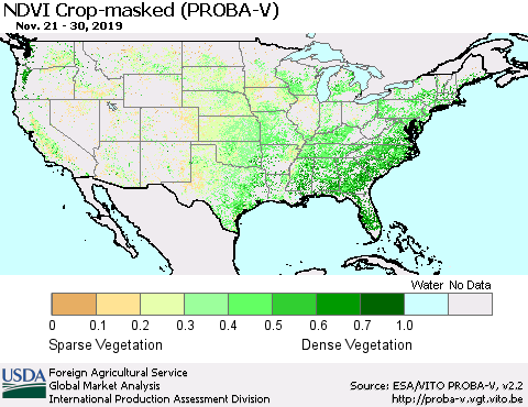 United States NDVI Crop-masked (PROBA-V) Thematic Map For 11/21/2019 - 11/30/2019