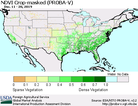 United States NDVI Crop-masked (PROBA-V) Thematic Map For 12/11/2019 - 12/20/2019