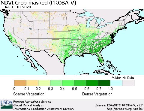 United States NDVI Crop-masked (PROBA-V) Thematic Map For 1/1/2020 - 1/10/2020
