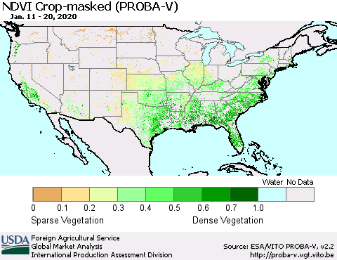 United States NDVI Crop-masked (PROBA-V) Thematic Map For 1/11/2020 - 1/20/2020