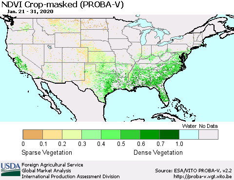 United States NDVI Crop-masked (PROBA-V) Thematic Map For 1/21/2020 - 1/31/2020