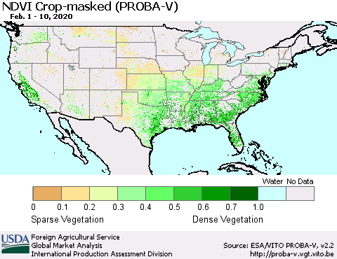 United States NDVI Crop-masked (PROBA-V) Thematic Map For 2/1/2020 - 2/10/2020