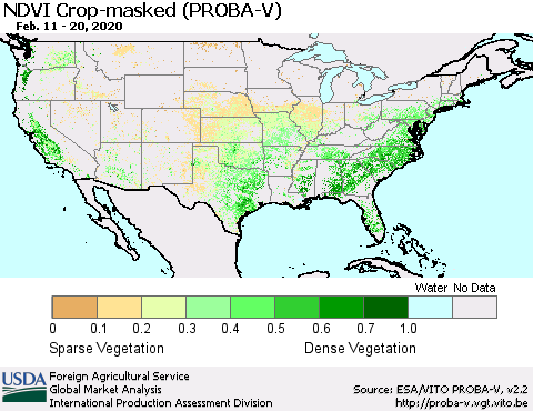 United States NDVI Crop-masked (PROBA-V) Thematic Map For 2/11/2020 - 2/20/2020