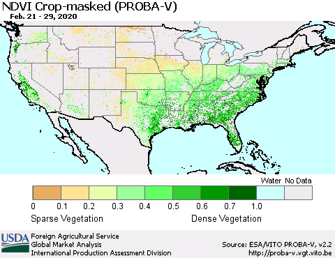 United States NDVI Crop-masked (PROBA-V) Thematic Map For 2/21/2020 - 2/29/2020