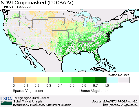 United States NDVI Crop-masked (PROBA-V) Thematic Map For 3/1/2020 - 3/10/2020