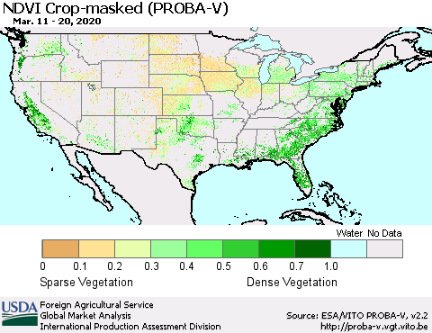 United States NDVI Crop-masked (PROBA-V) Thematic Map For 3/11/2020 - 3/20/2020
