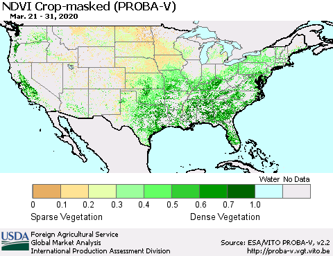 United States NDVI Crop-masked (PROBA-V) Thematic Map For 3/21/2020 - 3/31/2020