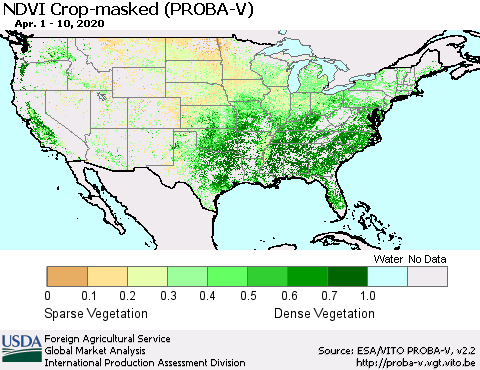 United States NDVI Crop-masked (PROBA-V) Thematic Map For 4/1/2020 - 4/10/2020