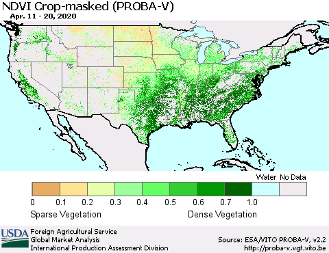 United States NDVI Crop-masked (PROBA-V) Thematic Map For 4/11/2020 - 4/20/2020