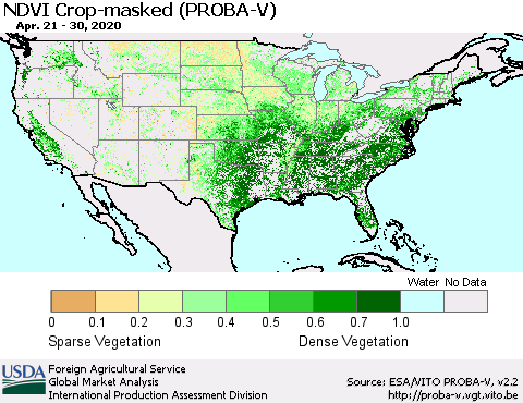 United States NDVI Crop-masked (PROBA-V) Thematic Map For 4/21/2020 - 4/30/2020