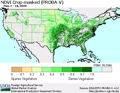 United States NDVI Crop-masked (PROBA-V) Thematic Map For 5/1/2020 - 5/10/2020