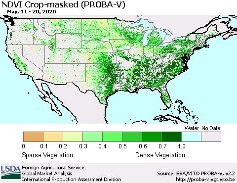 United States NDVI Crop-masked (PROBA-V) Thematic Map For 5/11/2020 - 5/20/2020