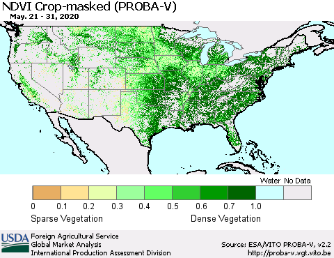 United States NDVI Crop-masked (PROBA-V) Thematic Map For 5/21/2020 - 5/31/2020