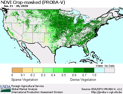 United States NDVI Crop-masked (PROBA-V) Thematic Map For 6/21/2020 - 6/30/2020