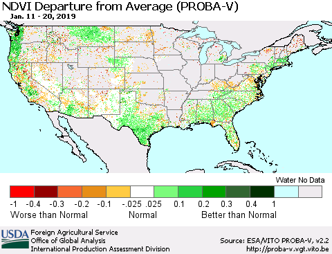 United States NDVI Departure from Average (PROBA-V) Thematic Map For 1/11/2019 - 1/20/2019
