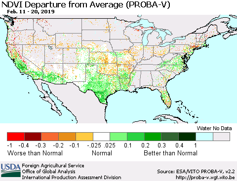 United States NDVI Departure from Average (PROBA-V) Thematic Map For 2/11/2019 - 2/20/2019