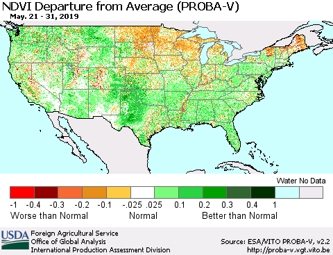 United States NDVI Departure from Average (PROBA-V) Thematic Map For 5/21/2019 - 5/31/2019