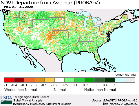 United States NDVI Departure from Average (PROBA-V) Thematic Map For 5/21/2020 - 5/31/2020