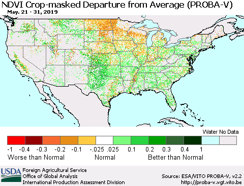 United States NDVI Crop-masked Departure from Average (PROBA-V) Thematic Map For 5/21/2019 - 5/31/2019