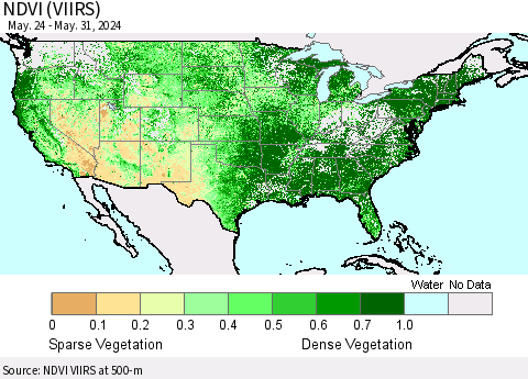 United States NDVI (VIIRS) Thematic Map For 5/24/2024 - 5/31/2024