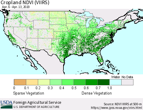United States Cropland NDVI (VIIRS) Thematic Map For 4/11/2020 - 4/20/2020