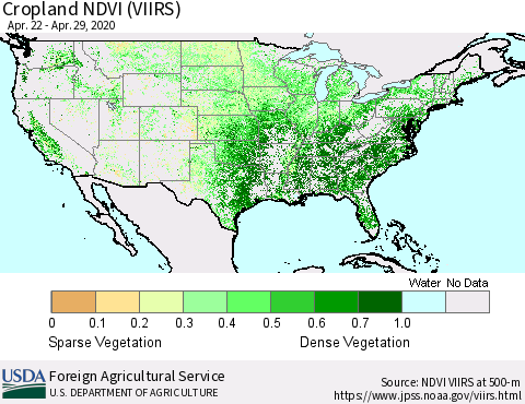 United States Cropland NDVI (VIIRS) Thematic Map For 4/21/2020 - 4/30/2020