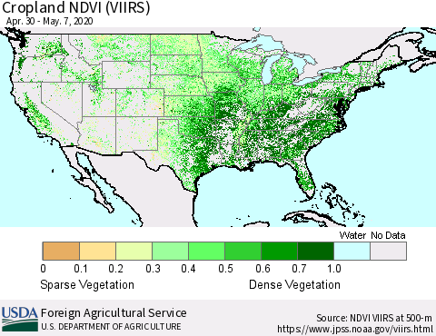 United States Cropland NDVI (VIIRS) Thematic Map For 5/1/2020 - 5/10/2020