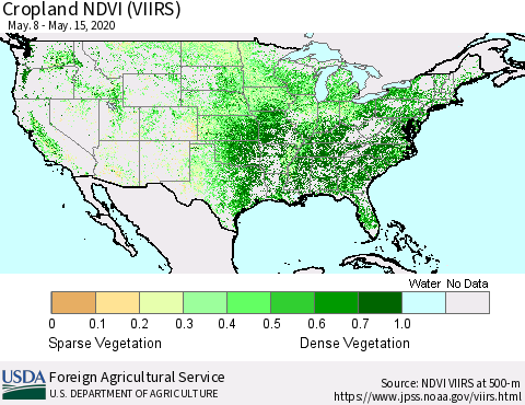United States Cropland NDVI (VIIRS) Thematic Map For 5/11/2020 - 5/20/2020