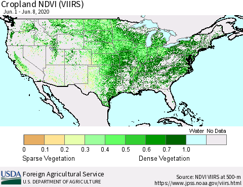 United States Cropland NDVI (VIIRS) Thematic Map For 6/1/2020 - 6/10/2020
