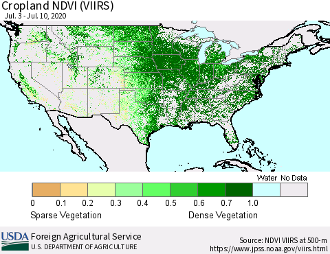 United States Cropland NDVI (VIIRS) Thematic Map For 7/1/2020 - 7/10/2020