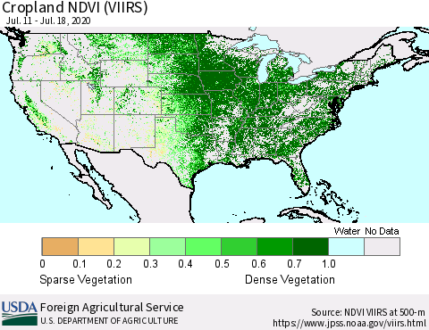 United States Cropland NDVI (VIIRS) Thematic Map For 7/11/2020 - 7/20/2020