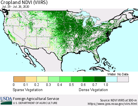 United States Cropland NDVI (VIIRS) Thematic Map For 7/21/2020 - 7/31/2020