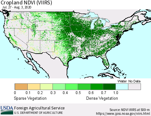 United States Cropland NDVI (VIIRS) Thematic Map For 8/1/2020 - 8/10/2020
