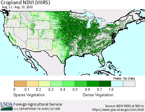 United States Cropland NDVI (VIIRS) Thematic Map For 8/11/2020 - 8/20/2020